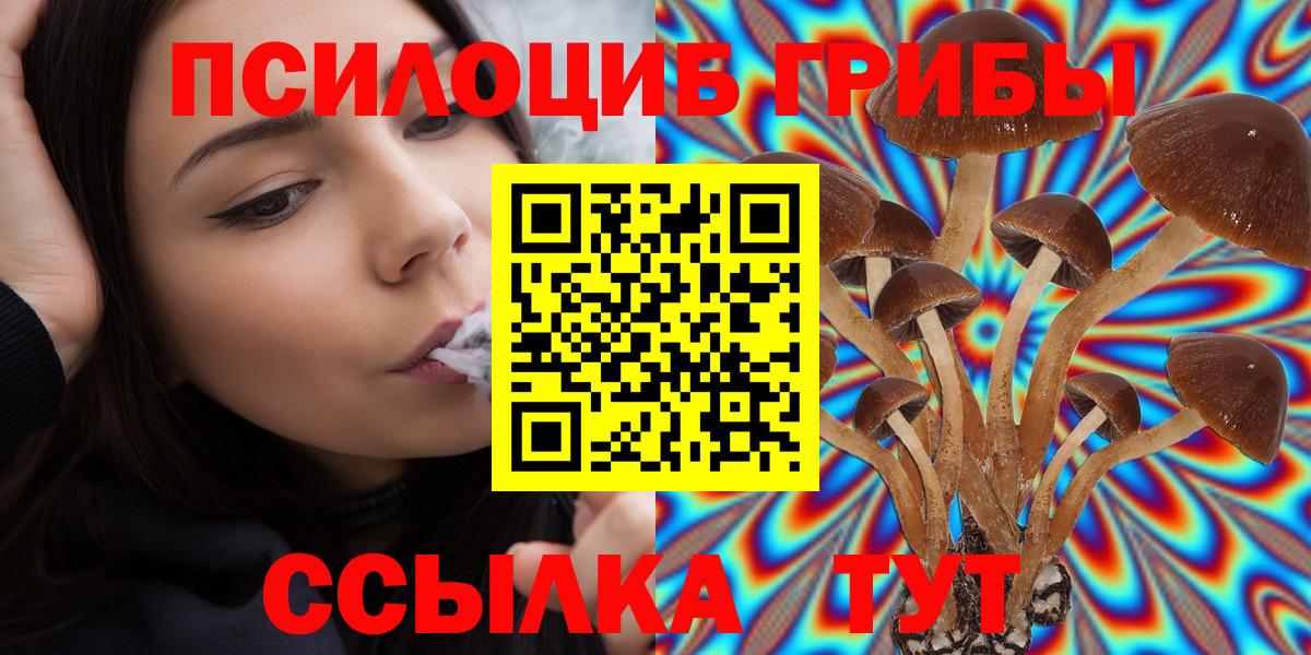 Тимашёвск  Галлюциногенные грибы прущие грибы  Вход с VPN 
