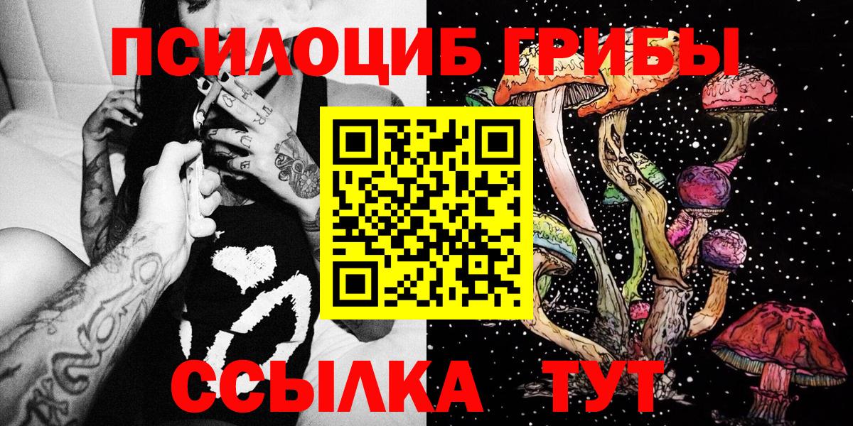 Галлюциногенные грибы прущие грибы Тимашёвск